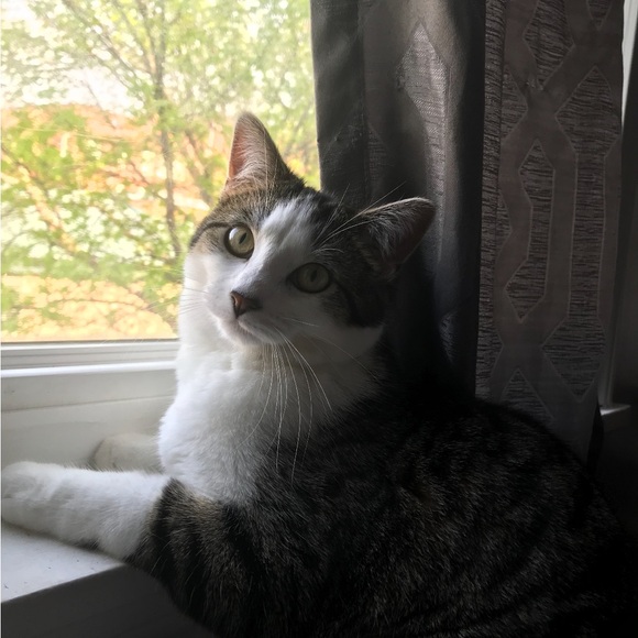 Meet your Posher, Ginny - Picture 8 of 16